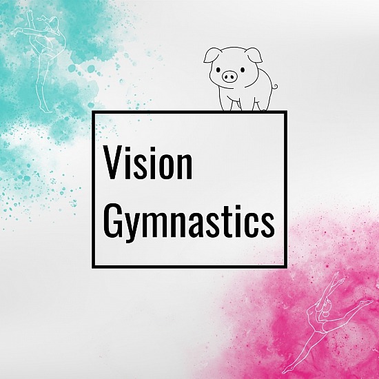 AL-Vision Gymnastics (BB)