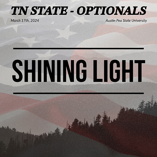 TN- Shining Light (O)