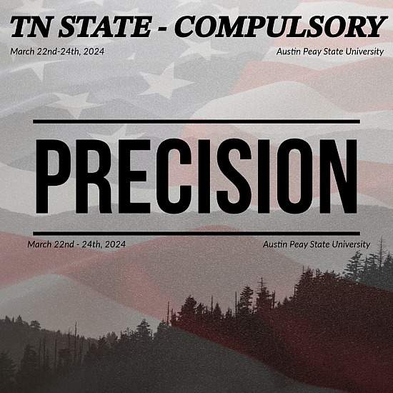 TN- Percision (C)
