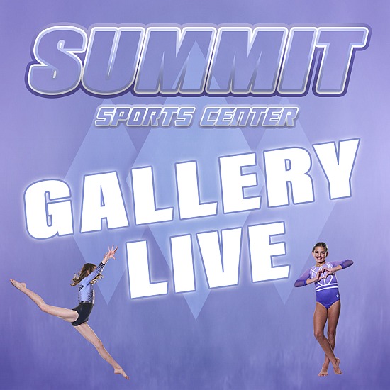 Summit Gymnastics T&I 2024
