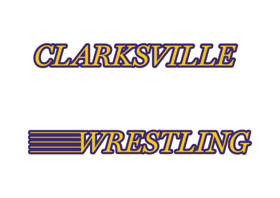 CHS LadyCats Wrestling 2025